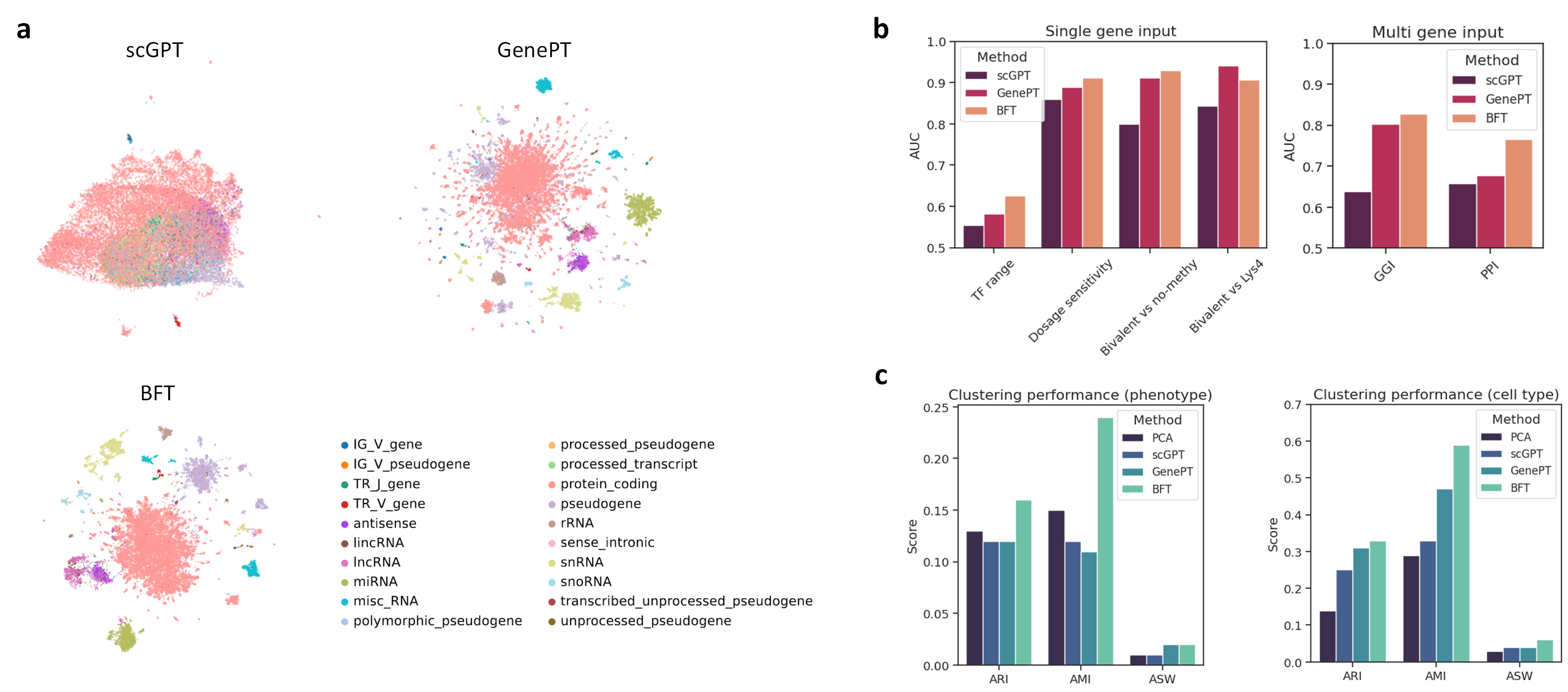 Gene embedding UMAP, gene property and interaction prediction, and cell clustering results